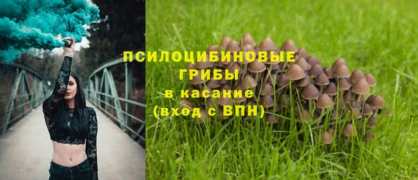 дмт Аркадак