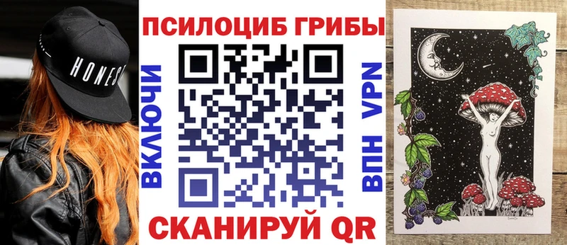 где найти   Кызыл  Псилоцибиновые грибы мухоморы 